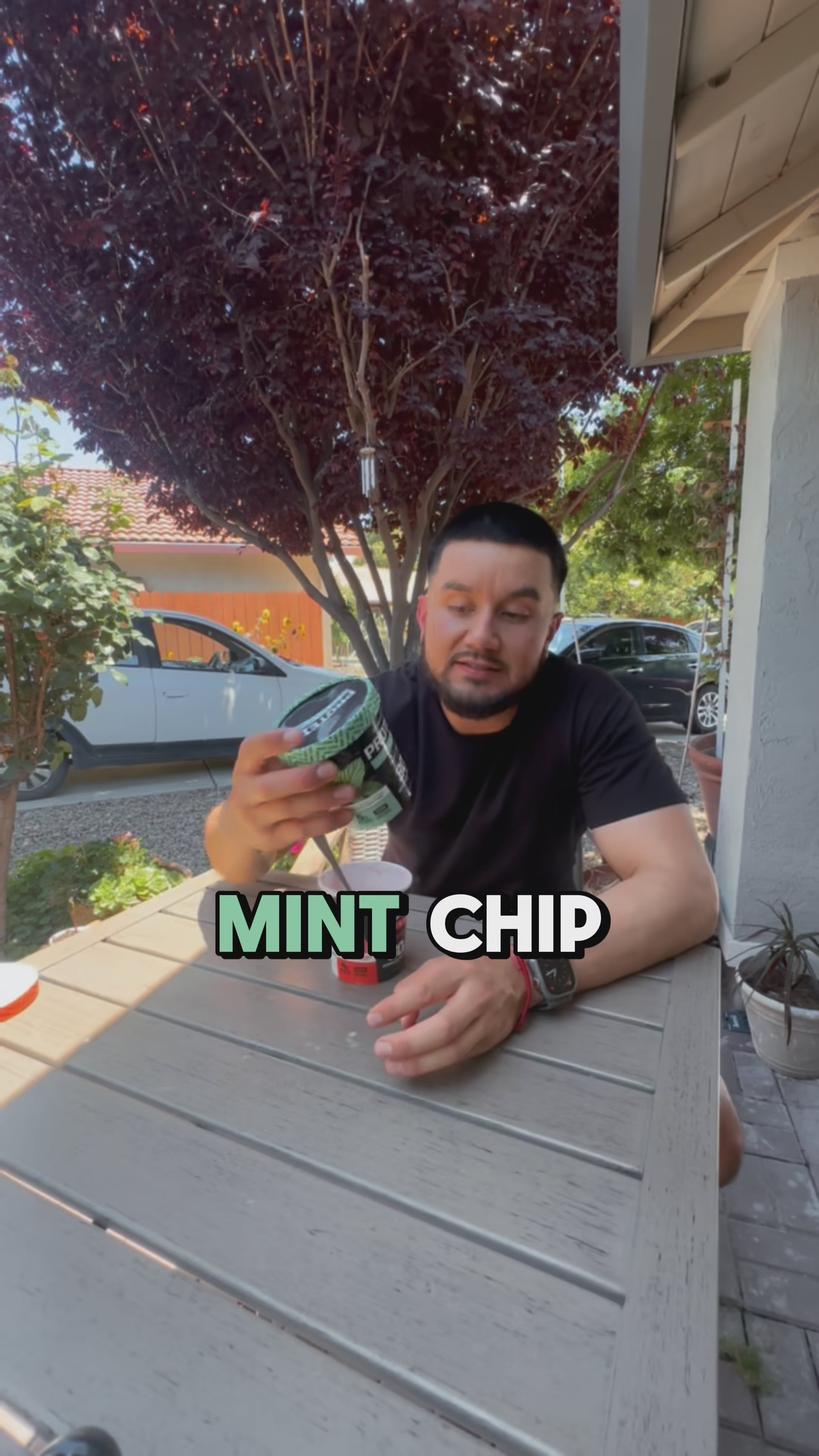Mint Chip High Protein Ice Cream | Protein Pints